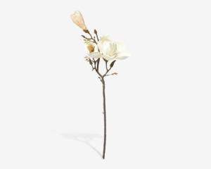 Stilk Magnolia Cream H.58 cm 