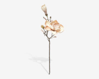 /stilk-magnolia-lyseroed-h58-cm