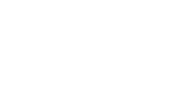 DSV Global Transport and logistics logo